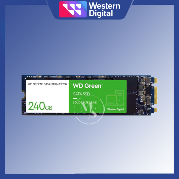 اس اس دی اینترنال M.2 SATA وسترن دیجیتال مدل WD Green ظرفیت 240 گیگابایت