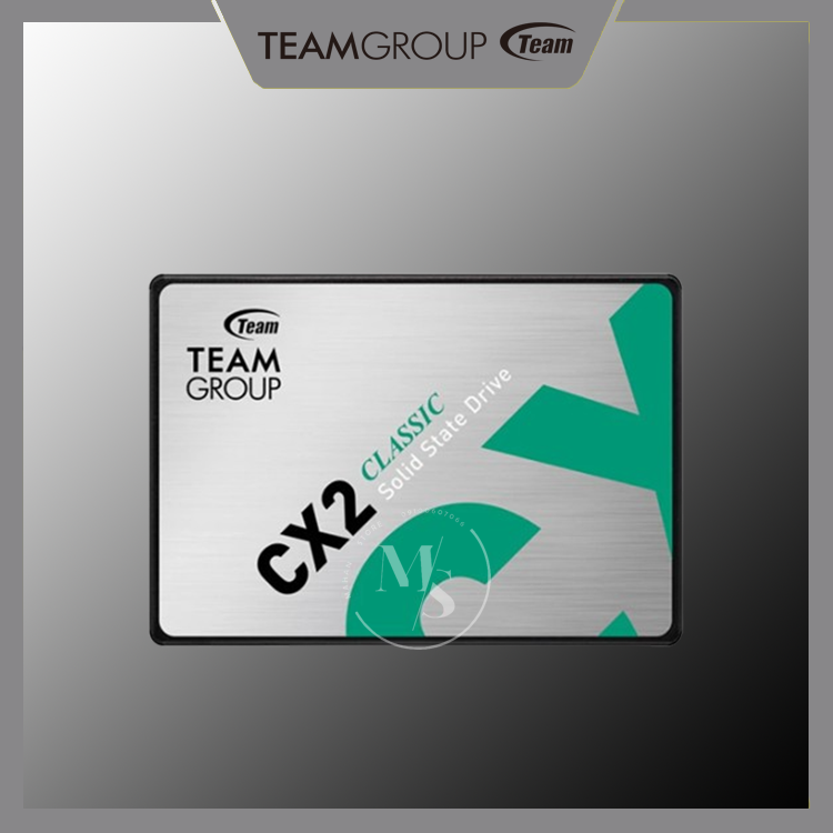 CX2 Classic 256G SATA SSD TeamGroup